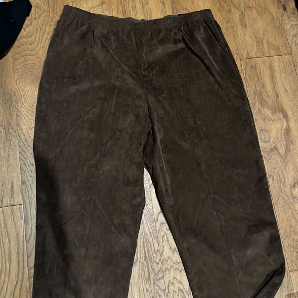 womens alfred dunner brown pants